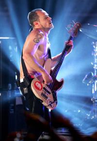 Flea